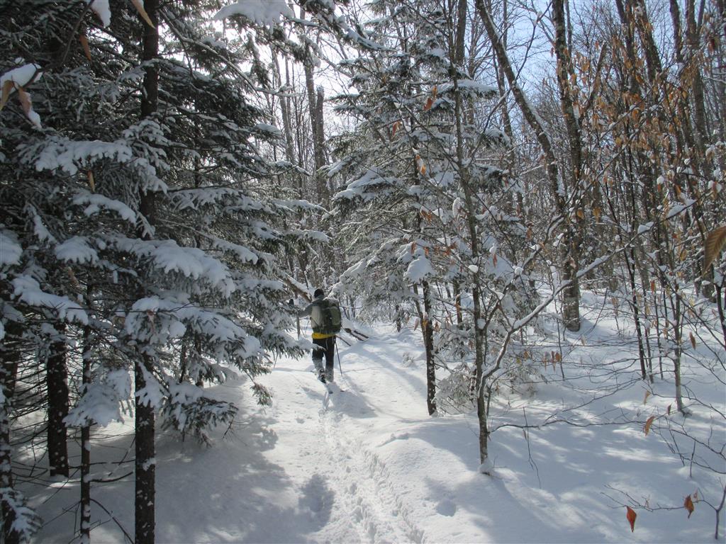 Photo by Marie Bartlett